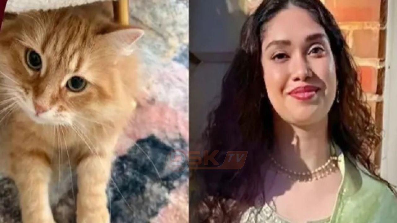 প্রিয় &lsquo;জেবু&rsquo;কে নিয়ে জাইমা রহমানের পোস্ট