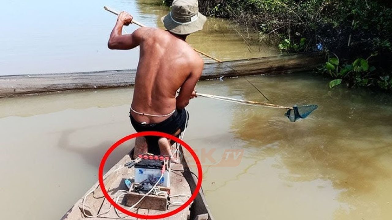 বিদ্যুৎ দিয়ে মাছ ধরা নি'ষিদ্ধ না মানলে ক'ঠোর ব্যবস্থা 
