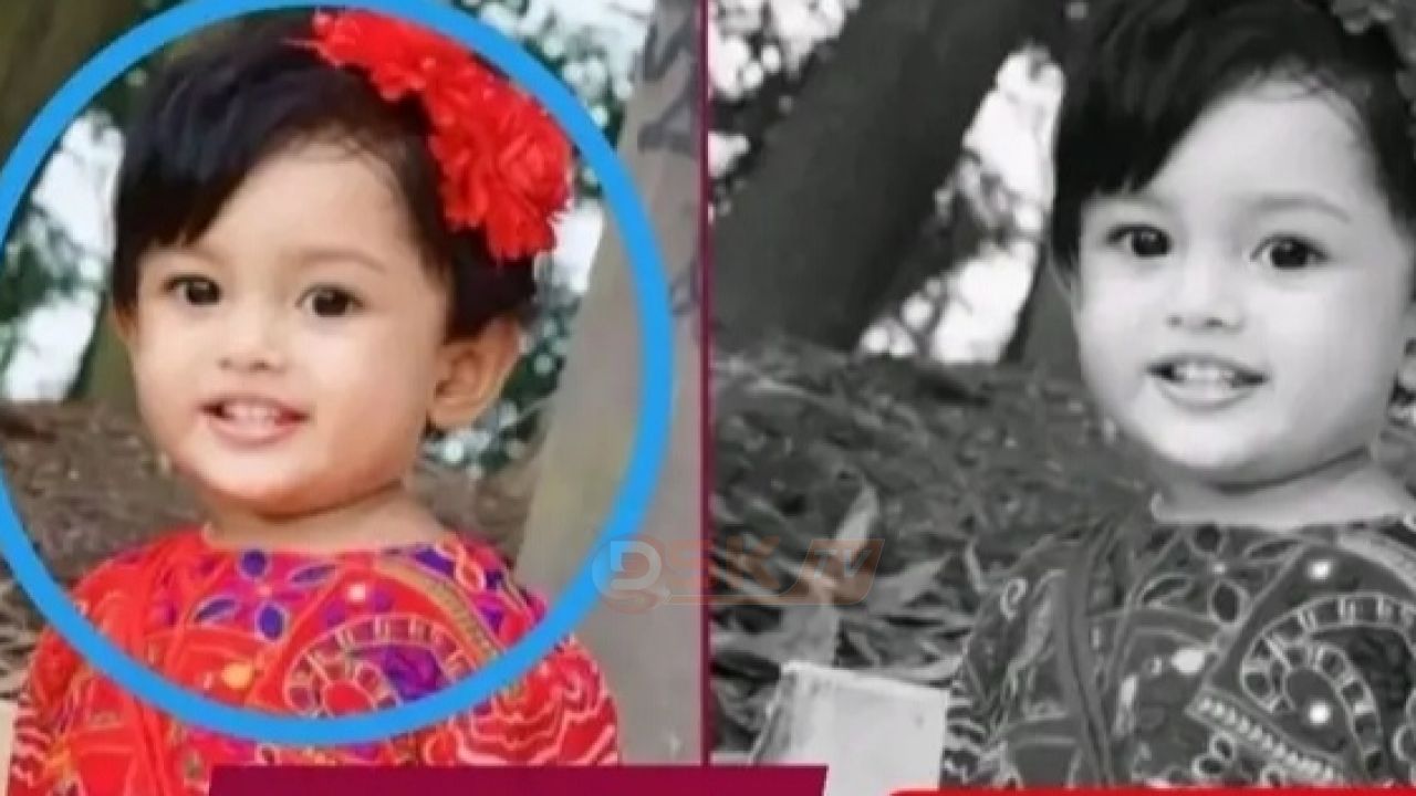 মা&rdquo; বলে ডাকা পাখি হারিয়ে এক মায়ের বুকভাঙা আর্ত'নাদ