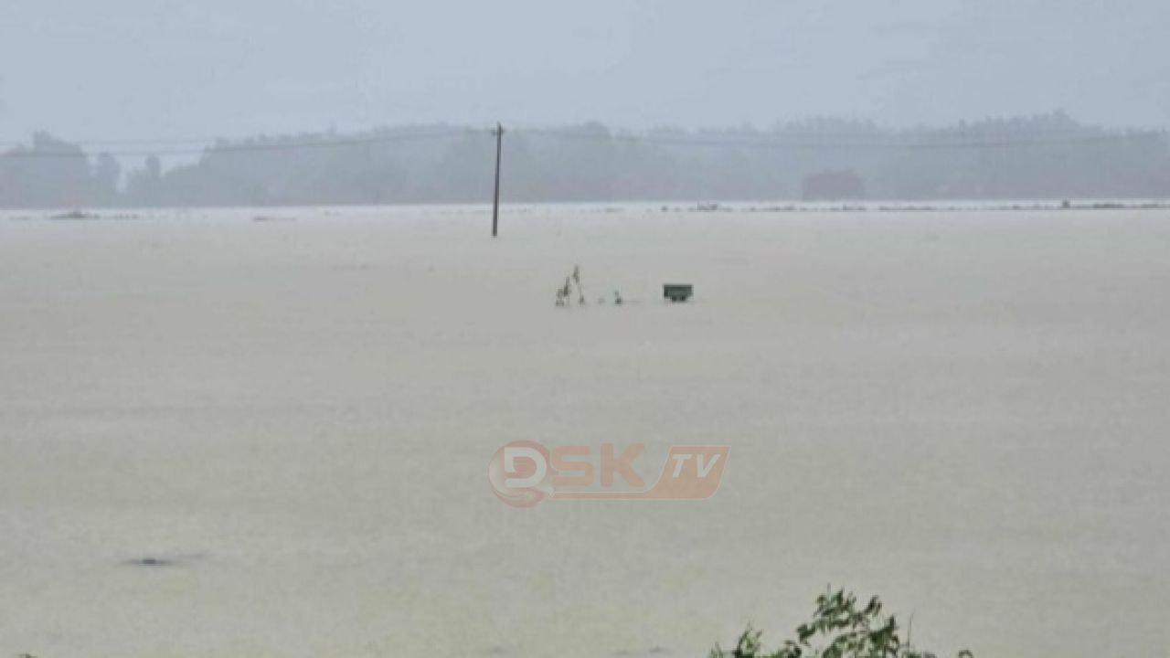 বন্যার পানিতে নৌকাডুবি, দুই বোনের মর্মা'ন্তিক মৃ'ত্যু