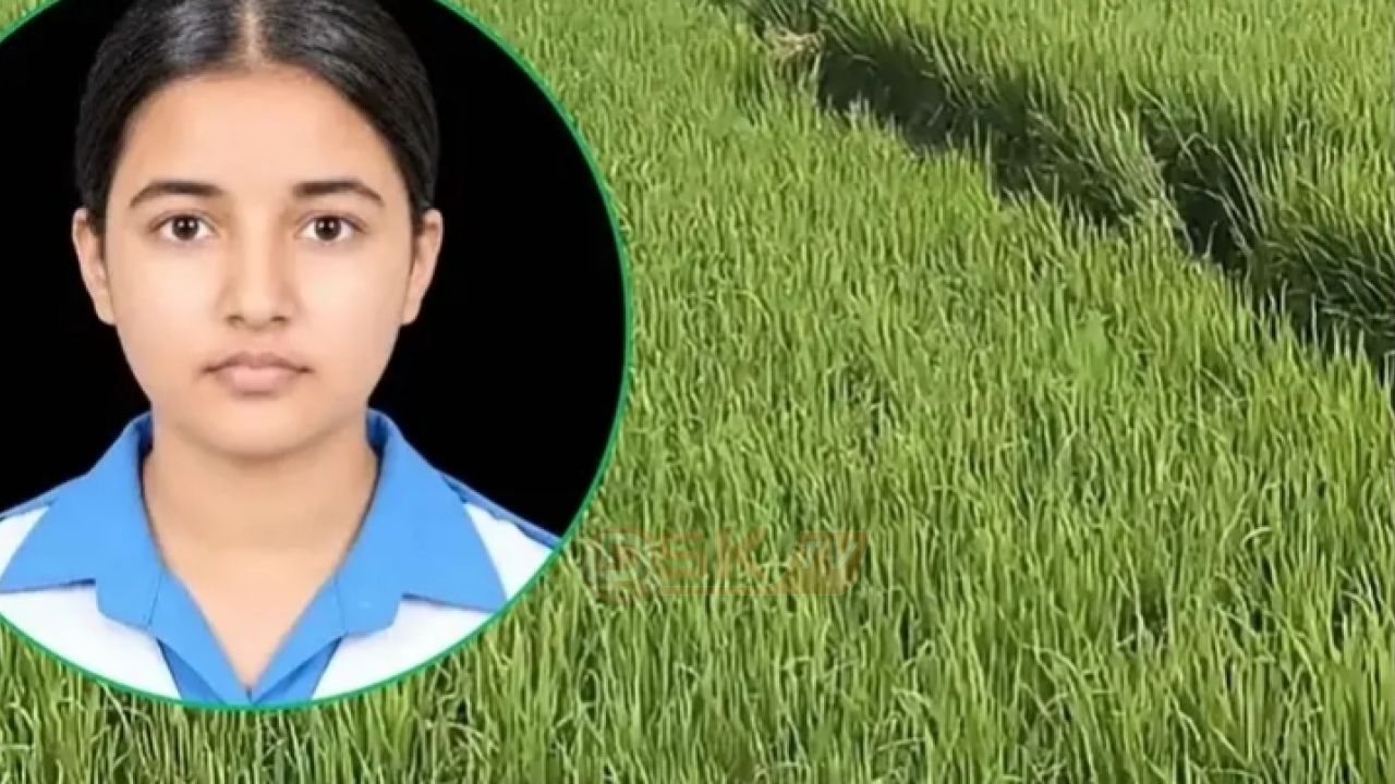 কুমিল্লায় স্কুলছাত্রী জান্নাতুল তাজমিন হ'ত্যাকাণ্ড: ৪–৫টি ধানক্ষেতে দৌড়াদৌড়ি ও ধস্তাধস্তির চিহ্ন
