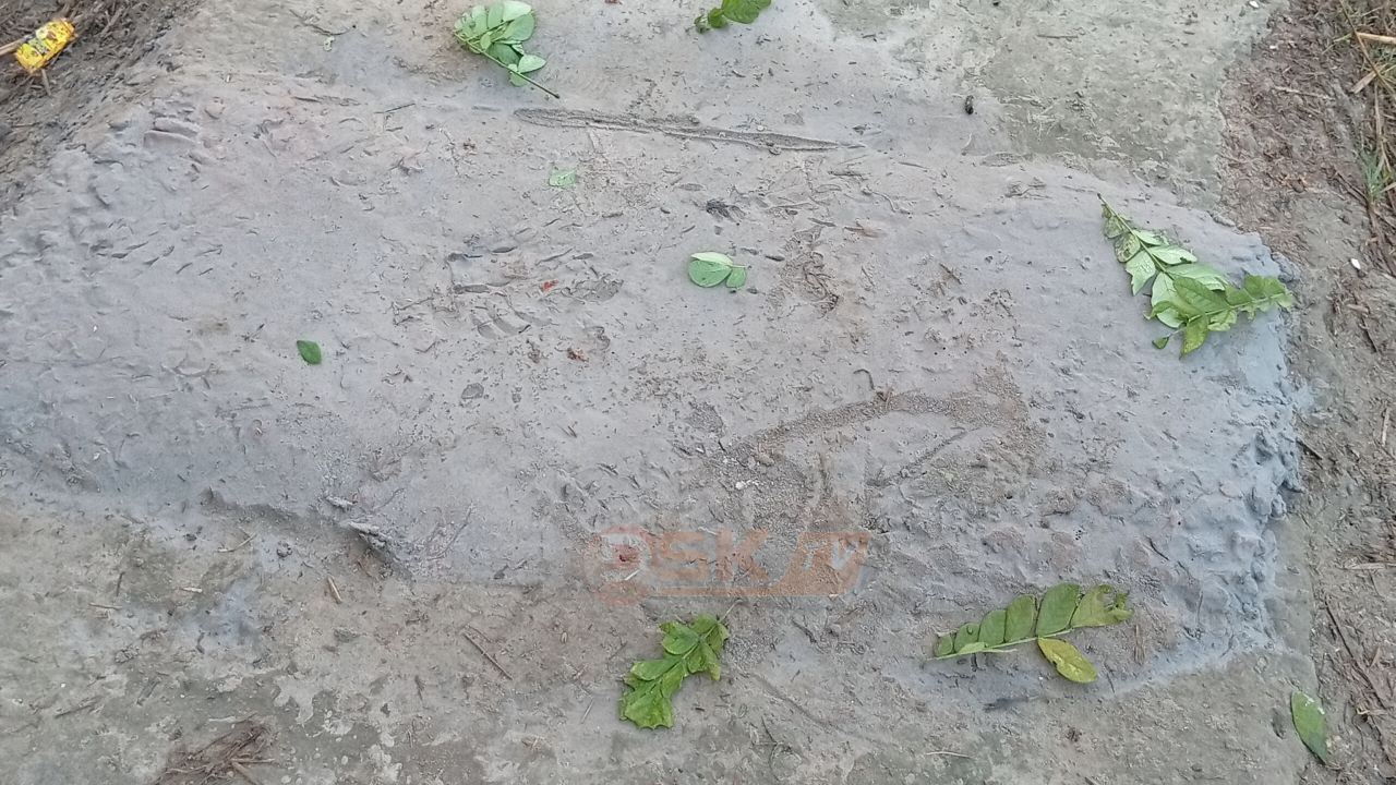 দেবিদ্বারে কালভার্ট সংস্কারের কাজ সম্পন